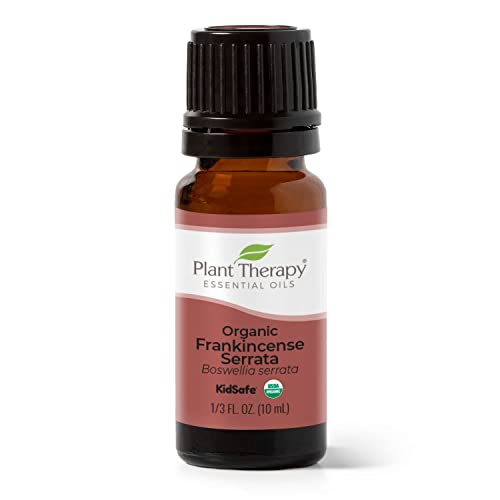 31x05l25ehl.jpg Plant Therapy Organic Frankincense Serrata Essential Oil for Aromatherapy and Therapeutic Use | Plant Therapy 100% P