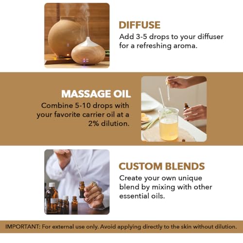 41ovandq3ql.jpg Majestic Pure Frankincense Essential Oil for Hair Care and Aromatherapy | Premium Grade 100% Pure Frankincense Oil f