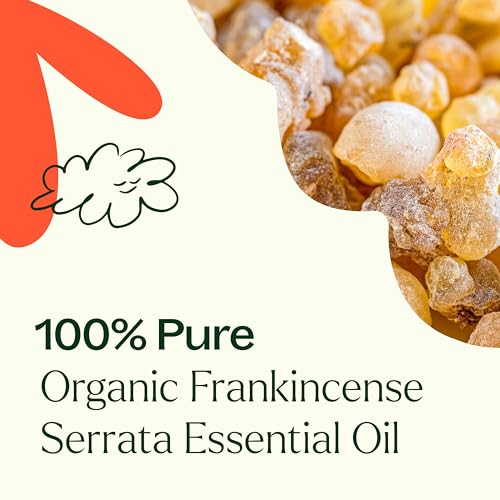 515dkfhpo l 1.jpg Pure Plant Therapy Organic Frankincense Serrata Essential Oil for Aromatherapy and Therapeutic Use | USDA Certified