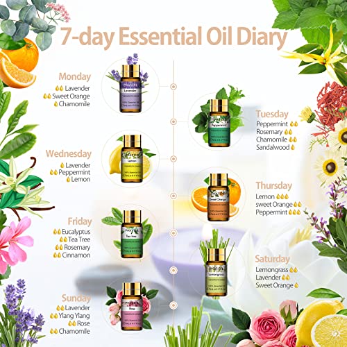 51hauzbsa0l.jpg 15 x 5ml Pure Essential Oils Gift Set for Aromatherapy, Skin & Hair Care, Bath & Humidifier