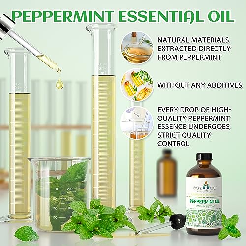 51ks4jnoe8l.jpg EVOKE OCCU Vanilla & Peppermint Essential Oil - 4 Fl Oz