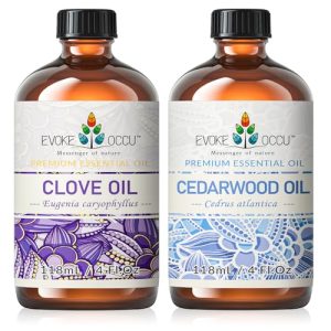EVOKE OCCU Clove & Cedarwood Essential Oil - 4 Fl Oz