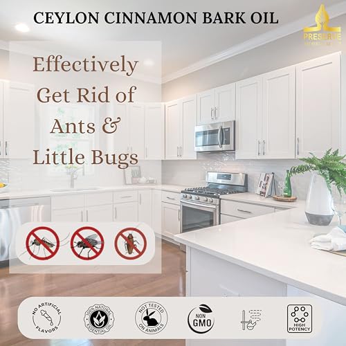 51n5h4rptwl.jpg GI Certified 100% Pure Ceylon Cinnamon Bark Oil, 10ml Therapeutic Grade