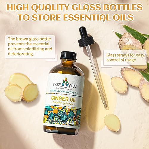 51q34rxfftl.jpg EVOKE OCCU Ginger & Lime Essential Oil - 4 Fl Oz