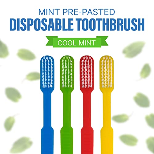 51ywqmdixl.jpg 36 Prepasted Disposable Toothbrushes for Travel | Individually Wrapped Soft Bristle | No Water Needed, Paste Made in USA
