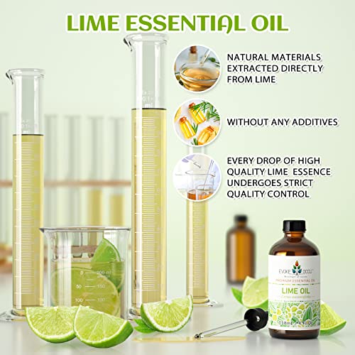 51i6npdwtrl.jpg EVOKE OCCU Tea Tree & Lime Essential Oil, 4 Fl Oz