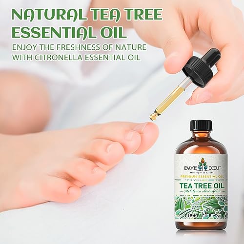 51wrz2trmgl.jpg EVOKE OCCU Tea Tree & Lime Essential Oil, 4 Fl Oz