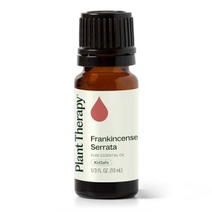 Plant Therapy Frankincense Serrata Essential Oil for Skin Care and Aromatherapy | Plant Therapy 100% Pure Frankincense