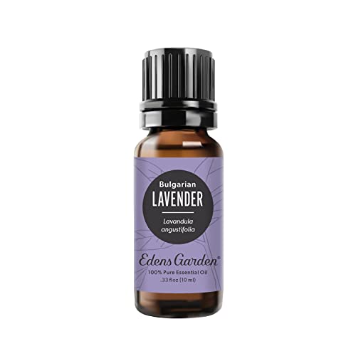 Edens Garden Bulgarian Lavender Essential Oil - 100% Pure, Therapeutic Grade, 10 ml