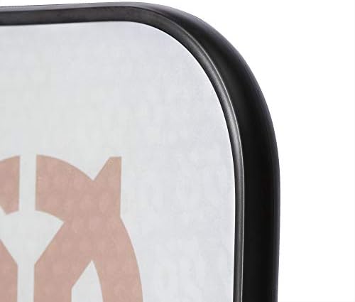 Onix Evoke Premier Professional Tournament Pickleball Paddle - Composite Face for Peak Performance | Onix Evoke Premier