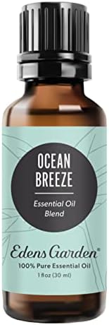 Edens Garden Vanilla Sandalwood Essential Oil Blend - Therapeutic for Aromatherapy, Natural Skin Care, Best for Diffusin