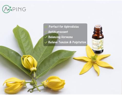 Pure Sandalwood Essential Oil for Diffuser and Aroma - 100% Organic, Santalum Album - 0.33oz | Pure Sandalwood Essentia