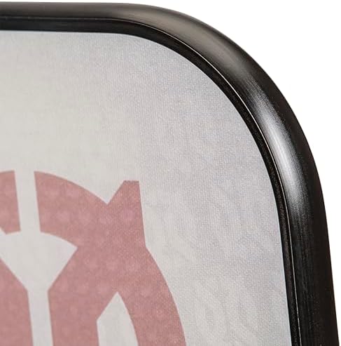 Onix Evoke Premier Professional Tournament Pickleball Paddle - Composite Face for Peak Performance | Onix Evoke Premier