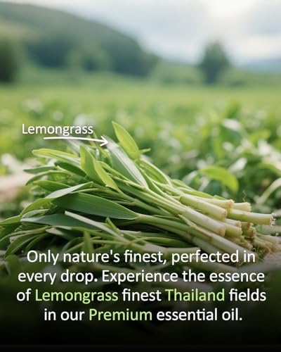 100% Pure Sandalwood Essential Oil for Home and Skin Care | Premium Grade for Diffusers, Massage, Soap Making, Aromathe