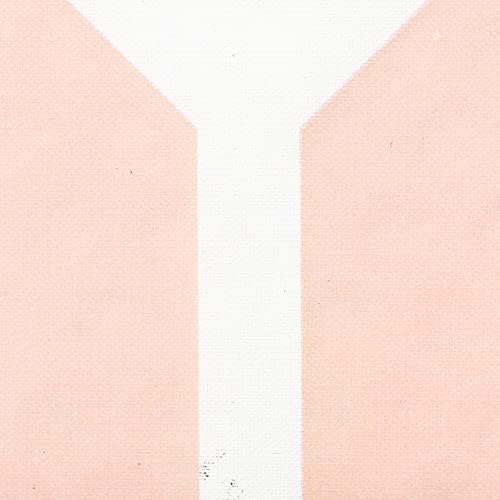 Onix Evoke Premier Professional Tournament Pickleball Paddle - Composite Face for Peak Performance | Onix Evoke Premier