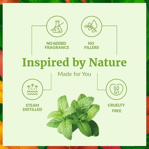 SVA Organic Frankincense Essential Oil – 100% Natural Boswellia Serrata Oil for Aromatherapy and Skin Care
SVA Organic F - Image 56