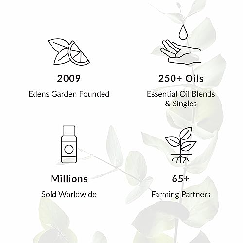 Edens Garden Bulgarian Lavender Essential Oil - 100% Pure, Therapeutic Grade, 10 ml