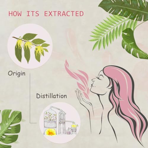 Pure Sandalwood Essential Oil for Diffuser and Aroma - 100% Organic, Santalum Album - 0.33oz | Pure Sandalwood Essentia