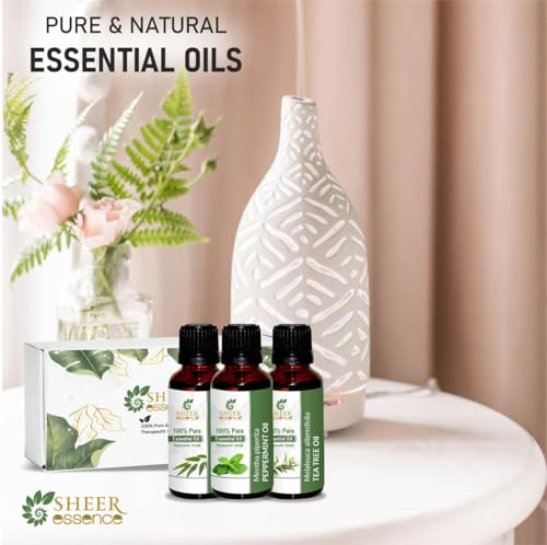 Essential Oils Set - 6 x 15ml Top 6 Scents for Aromatherapy & Gifts