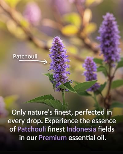 100% Pure Sandalwood Essential Oil for Home and Skin Care | Premium Grade for Diffusers, Massage, Soap Making, Aromathe