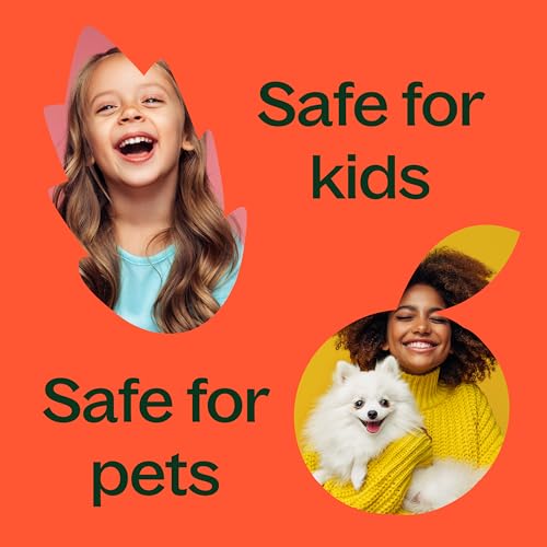 Plant Therapy Frankincense Serrata Essential Oil for Skin Care and Aromatherapy | Plant Therapy 100% Pure Frankincense