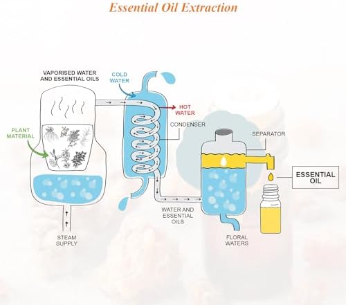 Pure Sandalwood Essential Oil for Aromatherapy and Calm Connection Evening Meditation | Pure Sandalwood Essential Oil f
