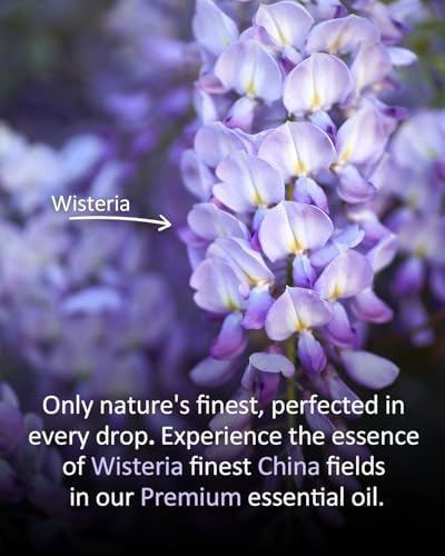 100% Pure Sandalwood Essential Oil for Home and Skin Care | Premium Grade for Diffusers, Massage, Soap Making, Aromathe