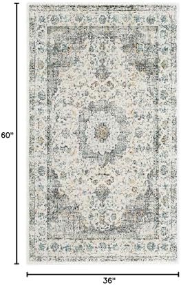 SAFAVIEH Evoke Collection Area Rug - Grey & Gold, Shabby Chic Oriental Medallion Design, Non-Shedding & Easy Care, Perfe - Image 15