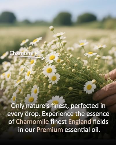 100% Pure Sandalwood Essential Oil for Home and Skin Care | Premium Grade for Diffusers, Massage, Soap Making, Aromathe