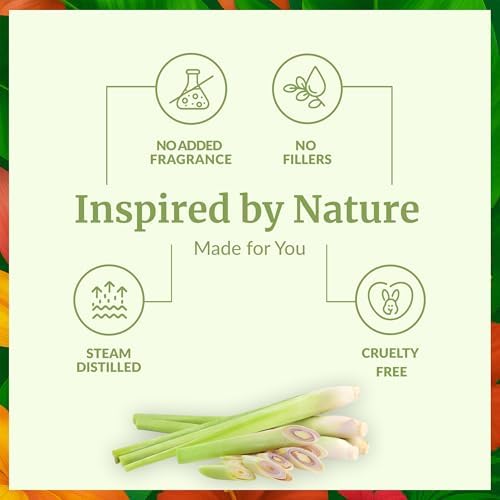 SVA Organic Frankincense Essential Oil – 100% Natural Boswellia Serrata Oil for Aromatherapy and Skin Care
SVA Organic F - Image 49