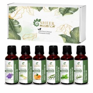 Essential Oils Set - 6 x 15ml Top 6 Scents for Aromatherapy & Gifts
