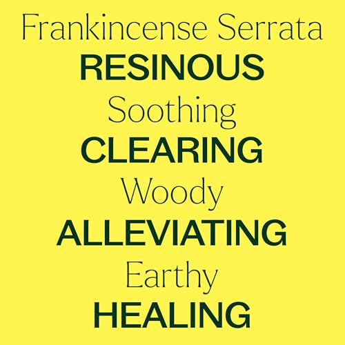 Plant Therapy Frankincense Serrata Essential Oil for Aromatherapy and Therapeutic Use, 100% Pure & Natural, 30 mL | Pla