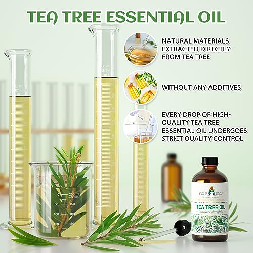 EVOKE OCCU Tea Tree & Lime Essential Oil, 4 Fl Oz