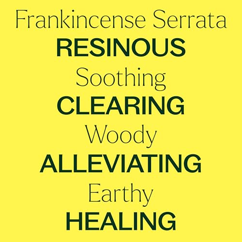 Plant Therapy Frankincense Serrata Essential Oil for Skin Care and Aromatherapy | Plant Therapy 100% Pure Frankincense