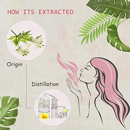 Pure Sandalwood Essential Oil for Diffuser and Aroma - 100% Organic, Santalum Album - 0.33oz | Pure Sandalwood Essentia