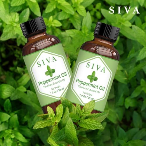 Siva Frankincense Essential Oil - 4 Fl Oz – 100% Natural Boswellia Serrata Oil - for Aromatherapy, Skin Care, and Hair C