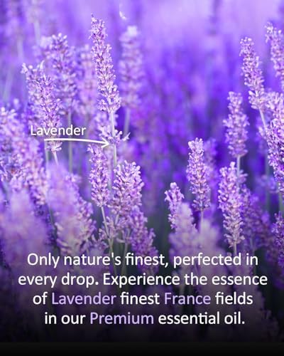 100% Pure Sandalwood Essential Oil for Home and Skin Care | Premium Grade for Diffusers, Massage, Soap Making, Aromathe