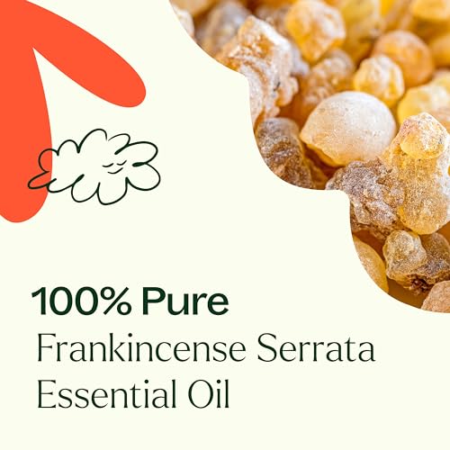 Plant Therapy Frankincense Serrata Essential Oil for Skin Care and Aromatherapy | Plant Therapy 100% Pure Frankincense