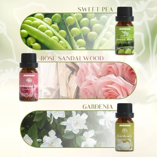 ARVIDSSON Autumn Spice Essential Oil Set - Cinnamon, Pumpkin Pie, Harvest Spice | Perfect for Diffusing in Your Home th