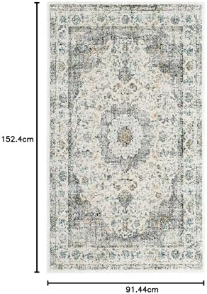 SAFAVIEH Evoke Collection Area Rug - Grey & Gold, Shabby Chic Oriental Medallion Design, Non-Shedding & Easy Care, Perfe - Image 13