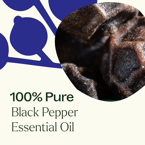 Plant Therapy Frankincense Serrata Essential Oil for Skin Care and Aromatherapy | Plant Therapy 100% Pure Frankincense