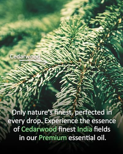 100% Pure Sandalwood Essential Oil for Home and Skin Care | Premium Grade for Diffusers, Massage, Soap Making, Aromathe