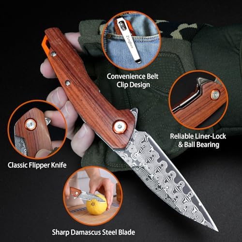 Damascus Pocket Knife for Women, |15" VG10 Damascus Steel Blade EDC Folding Knife, Abalone Shells Handle, Ideal Gift for