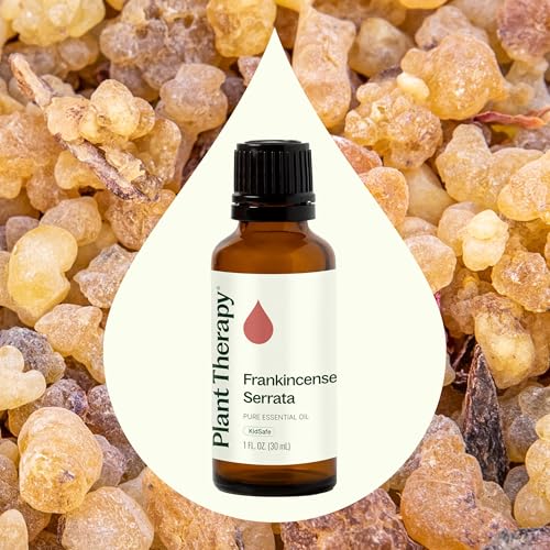 Plant Therapy Frankincense Serrata Essential Oil for Aromatherapy and Therapeutic Use, 100% Pure & Natural, 30 mL | Pla
