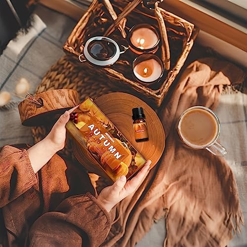 ARVIDSSON Autumn Spice Essential Oil Set - Cinnamon, Pumpkin Pie, Harvest Spice | Perfect for Diffusing in Your Home th