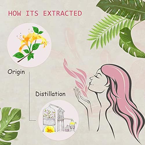 Pure Sandalwood Essential Oil for Diffuser and Aroma - 100% Organic, Santalum Album - 0.33oz | Pure Sandalwood Essentia