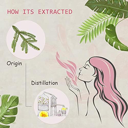 Pure Sandalwood Essential Oil for Diffuser and Aroma - 100% Organic, Santalum Album - 0.33oz | Pure Sandalwood Essentia