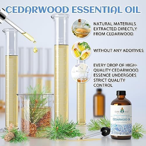 EVOKE OCCU Ylang Ylang and Cedarwood Essential Oils for Relaxation - 4 Fl Oz EVOKE OCCU Ylang Ylang and Cedarwood Essent