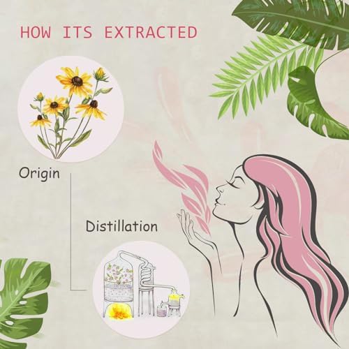 Pure Sandalwood Essential Oil for Diffuser and Aroma - 100% Organic, Santalum Album - 0.33oz | Pure Sandalwood Essentia