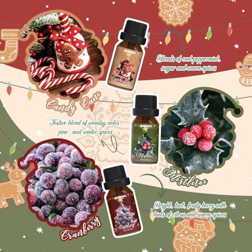 ARVIDSSON Autumn Spice Essential Oil Set - Cinnamon, Pumpkin Pie, Harvest Spice | Perfect for Diffusing in Your Home th